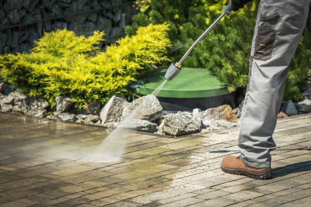 Best Gutter Cleaning  in Algona, WA
