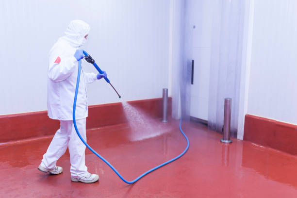 Best Playground Equipment Cleaning  in Algona, WA